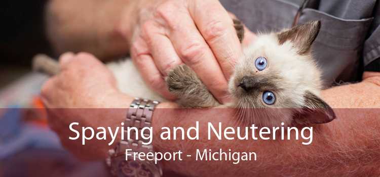Spaying and Neutering Freeport - Michigan