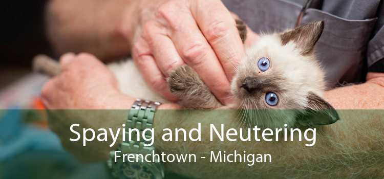Spaying and Neutering Frenchtown - Michigan