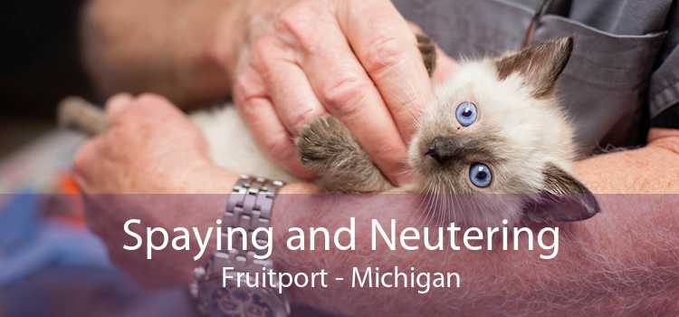 Spaying and Neutering Fruitport - Michigan