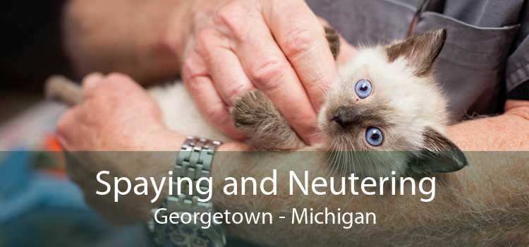 Spaying and Neutering Georgetown - Michigan