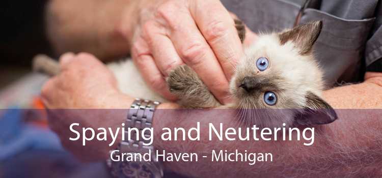 Spaying and Neutering Grand Haven - Michigan