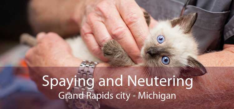 Spaying and Neutering Grand Rapids city - Michigan