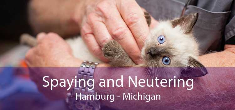 Spaying and Neutering Hamburg - Michigan