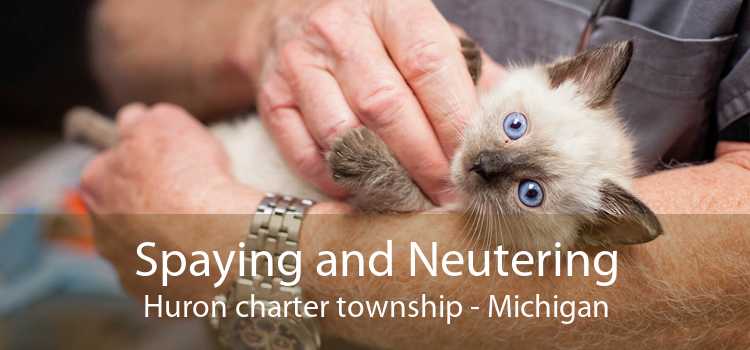 Spaying and Neutering Huron charter township - Michigan