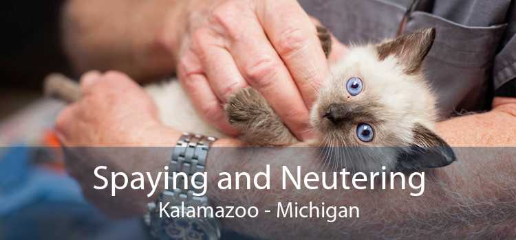Spaying and Neutering Kalamazoo - Michigan