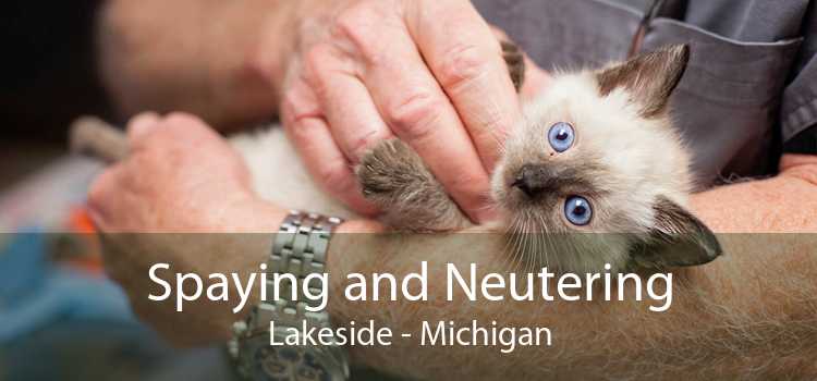 Spaying and Neutering Lakeside - Michigan