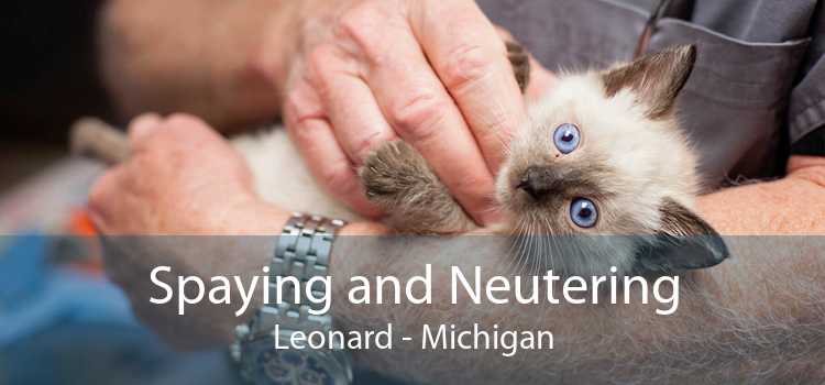 Spaying and Neutering Leonard - Michigan