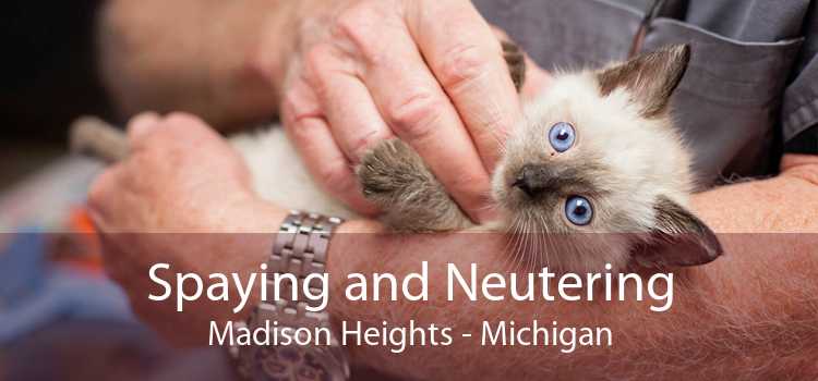 Spaying and Neutering Madison Heights - Michigan