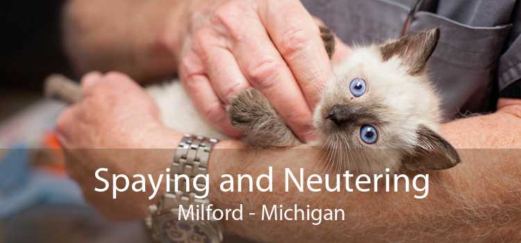 Spaying and Neutering Milford - Michigan