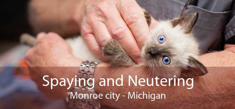 Spaying and Neutering Monroe city - Michigan