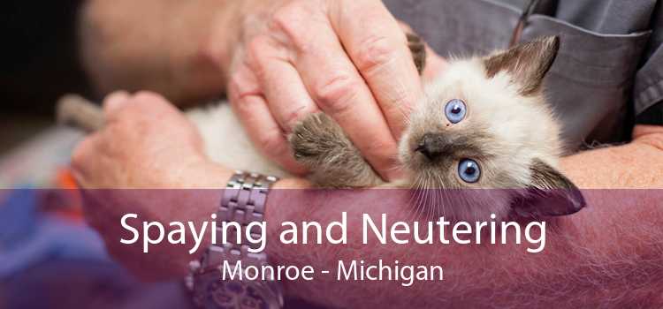 Spaying and Neutering Monroe - Michigan