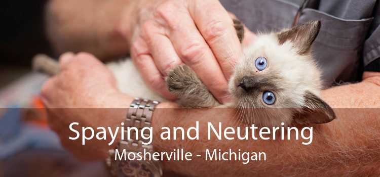 Spaying and Neutering Mosherville - Michigan