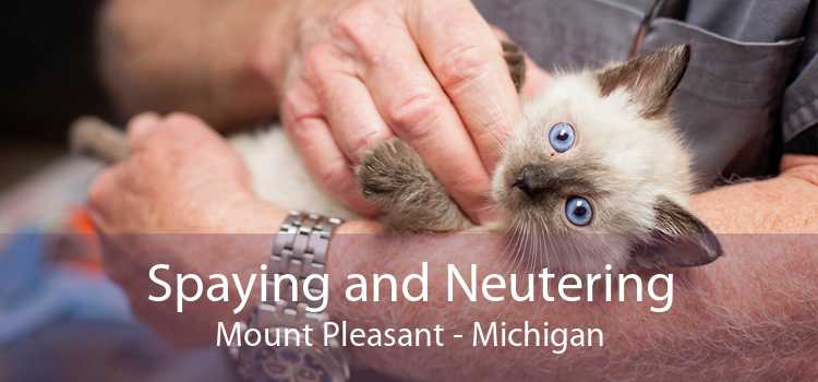 Spaying and Neutering Mount Pleasant - Michigan