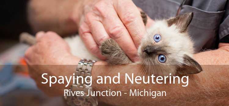 Spaying and Neutering Rives Junction - Michigan