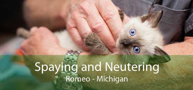 Spaying and Neutering Romeo - Michigan
