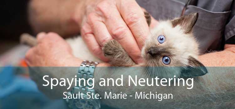 Spaying and Neutering Sault Ste. Marie - Michigan