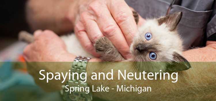 Spaying and Neutering Spring Lake - Michigan