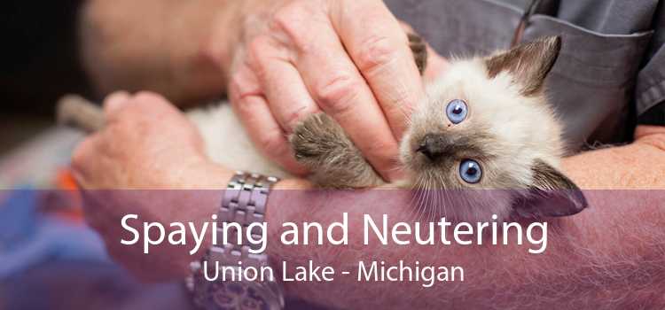 Spaying and Neutering Union Lake - Michigan
