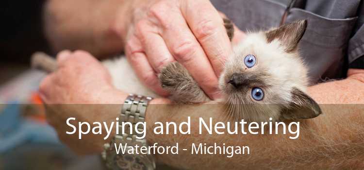 Spaying and Neutering Waterford - Michigan