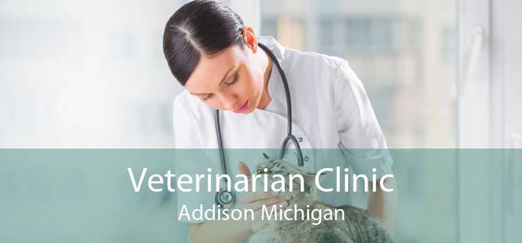 Veterinarian Clinic Addison Michigan