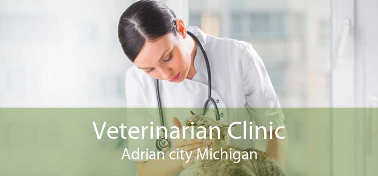 Veterinarian Clinic Adrian city Michigan
