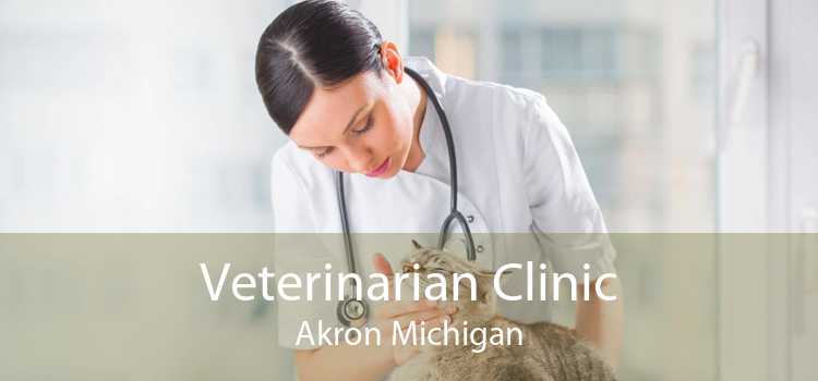 Veterinarian Clinic Akron Michigan