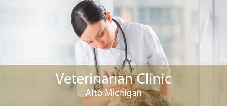 Veterinarian Clinic Alto Michigan