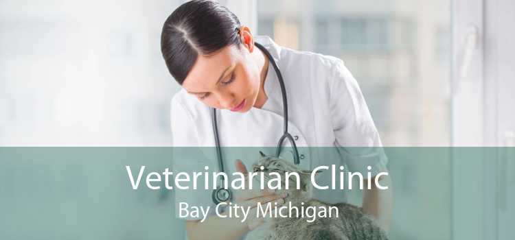 Veterinarian Clinic Bay City Michigan