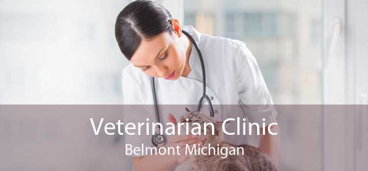 Veterinarian Clinic Belmont Michigan