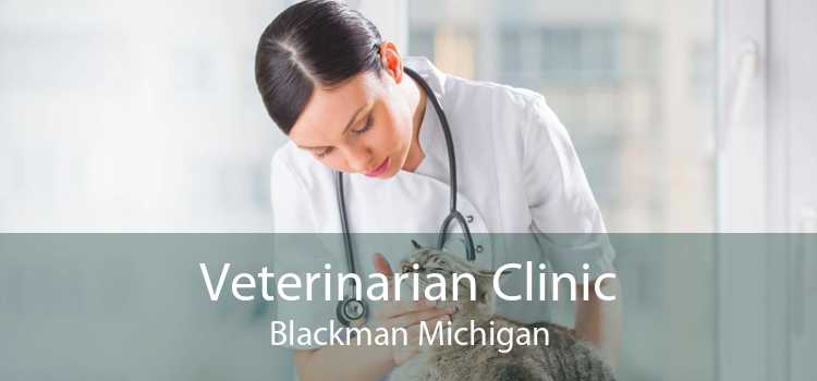 Veterinarian Clinic Blackman Michigan