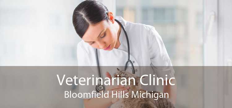Veterinarian Clinic Bloomfield Hills Michigan