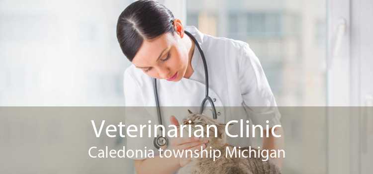 Veterinarian Clinic Caledonia township Michigan