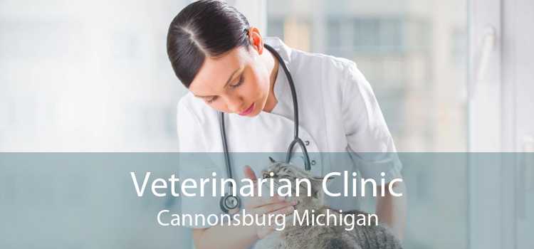 Veterinarian Clinic Cannonsburg Michigan