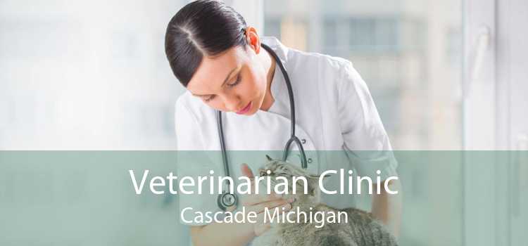 Veterinarian Clinic Cascade Michigan