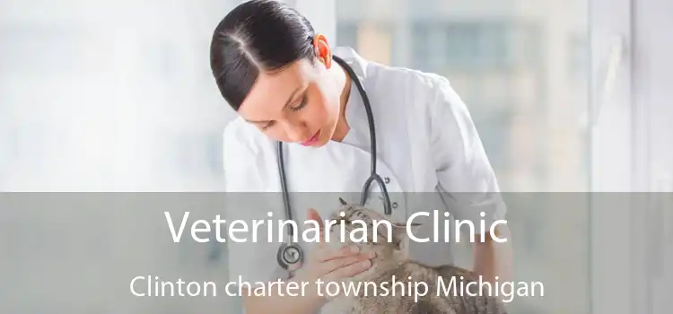 Veterinarian Clinic Clinton charter township Michigan