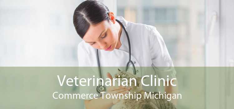 Veterinarian Clinic Commerce Township Michigan