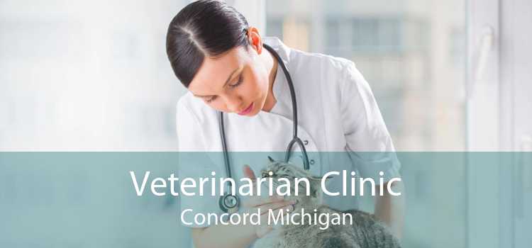 Veterinarian Clinic Concord Michigan