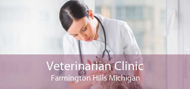 Veterinarian Clinic Farmington Hills Michigan