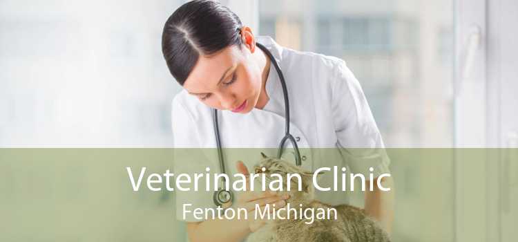 Veterinarian Clinic Fenton Michigan