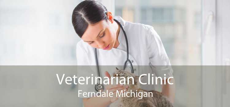 Veterinarian Clinic Ferndale Michigan