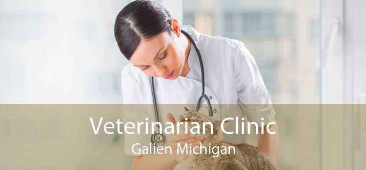 Veterinarian Clinic Galien Michigan