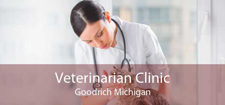 Veterinarian Clinic Goodrich Michigan
