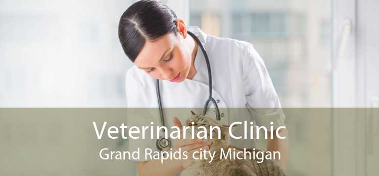 Veterinarian Clinic Grand Rapids city Michigan