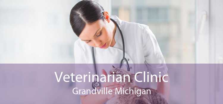 Veterinarian Clinic Grandville Michigan