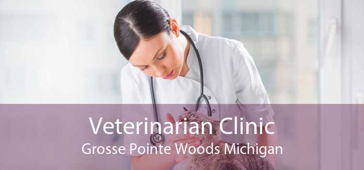 Veterinarian Clinic Grosse Pointe Woods Michigan