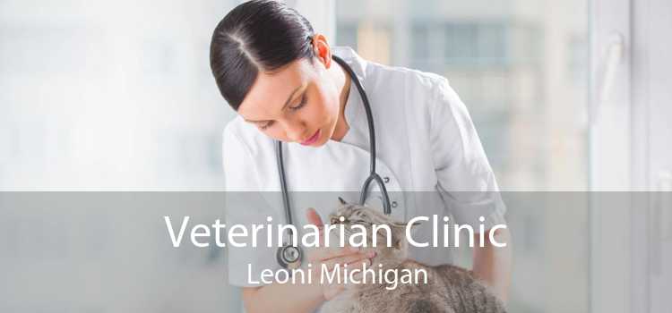Veterinarian Clinic Leoni Michigan