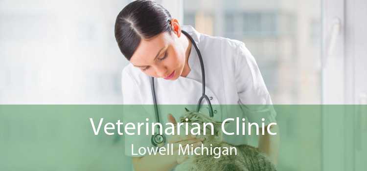 Veterinarian Clinic Lowell Michigan