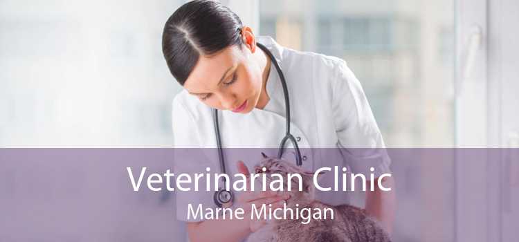 Veterinarian Clinic Marne Michigan