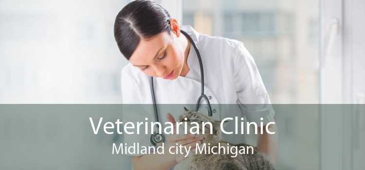 Veterinarian Clinic Midland city Michigan