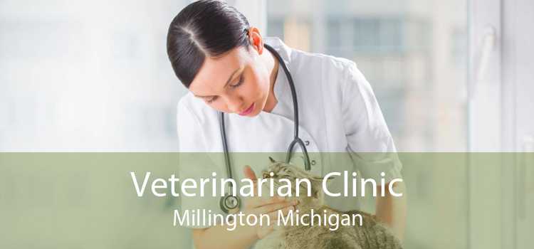 Veterinarian Clinic Millington Michigan